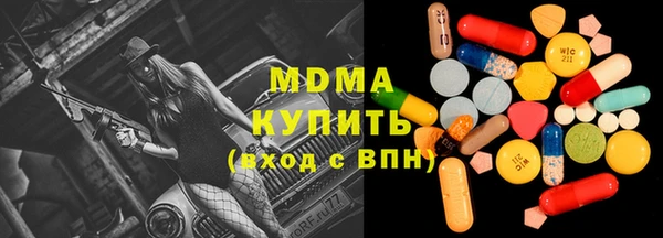 индика Инта