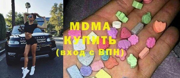 индика Инта