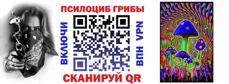 Галлюциногенные грибы MAGIC MUSHROOMS  где купить   Козельск 